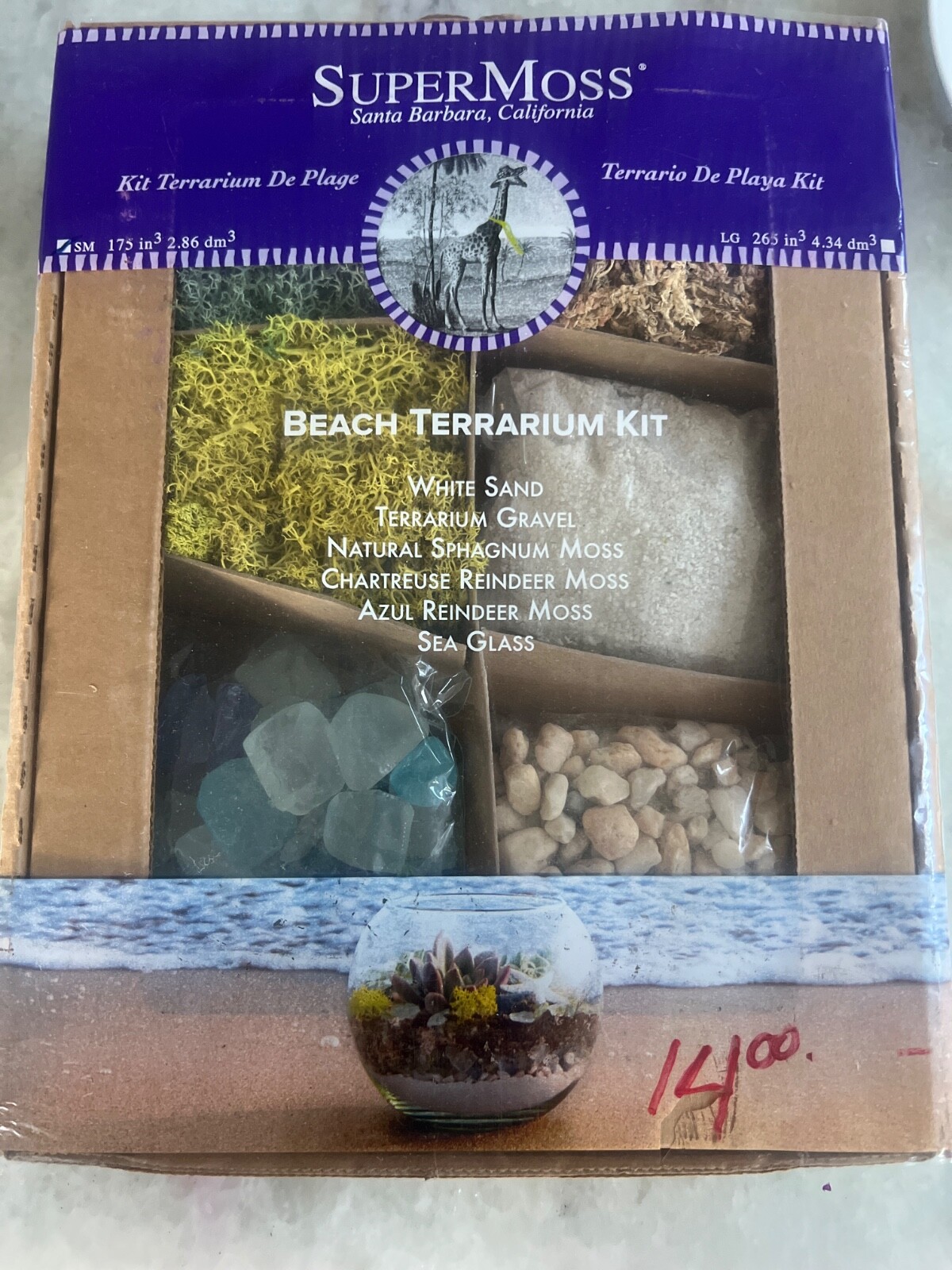 Super Moss Beach Terrarium Kit DIY Terrarium Making Kit