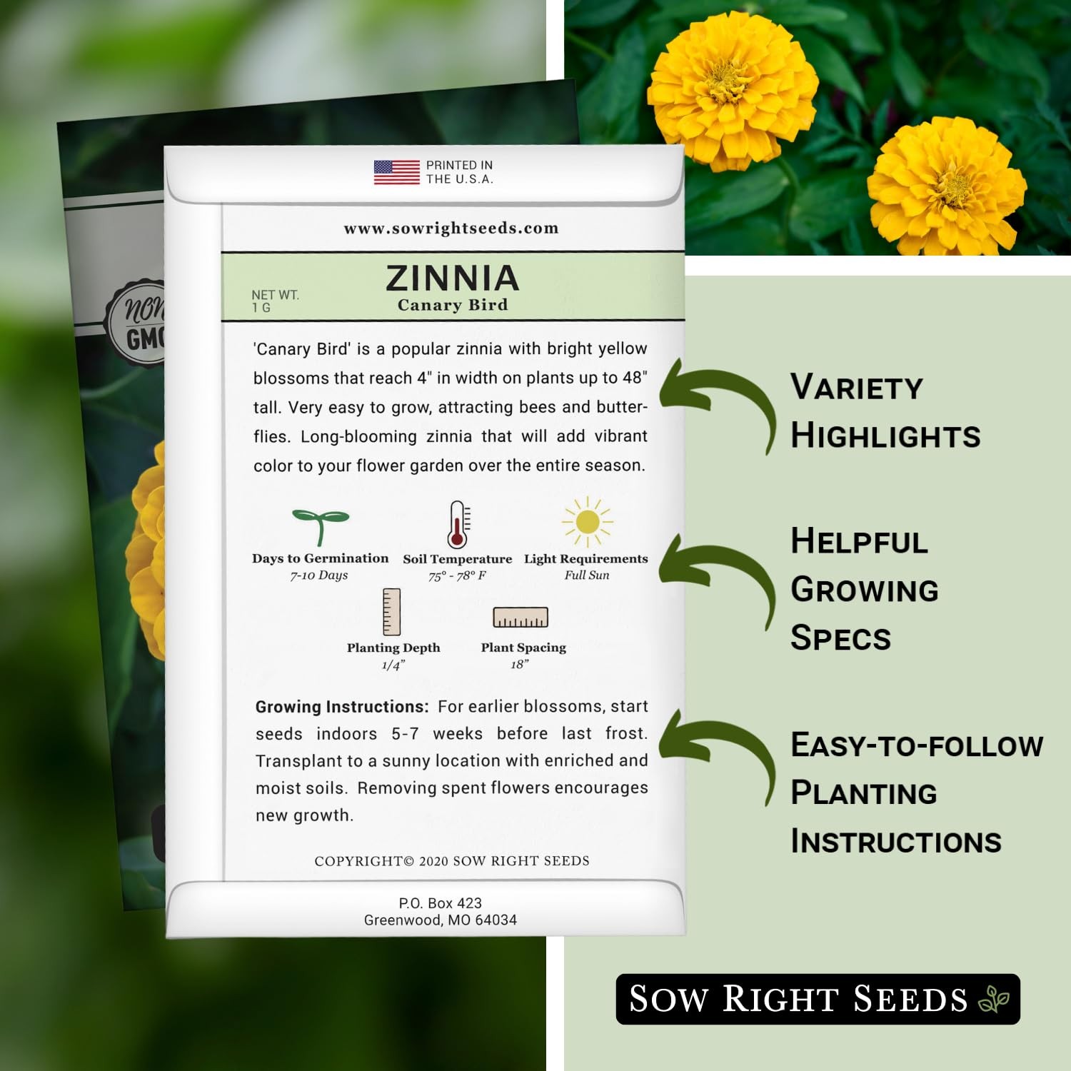 Canary Bird Zinnia Seeds For Planting Large Yellow Annual Blooms Non-GMO Cut