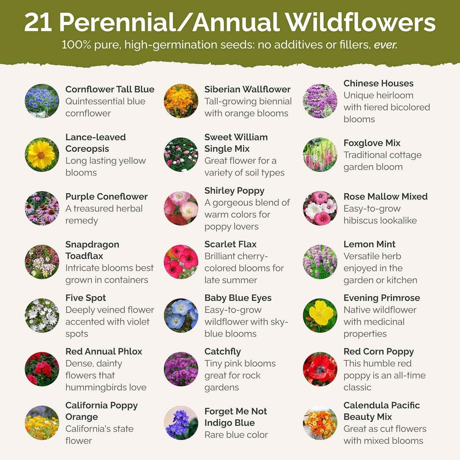 Partial Shade Wildflower Mixed Seeds for Planting, 1/4 lb, 120,000+ Seeds with S