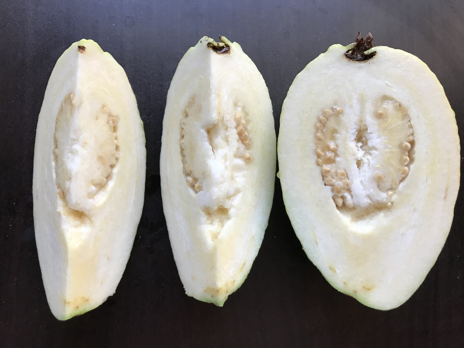 1 Asian Cream White Tropical Guava Fruit Tree Psidium Guajava Tree App 14″