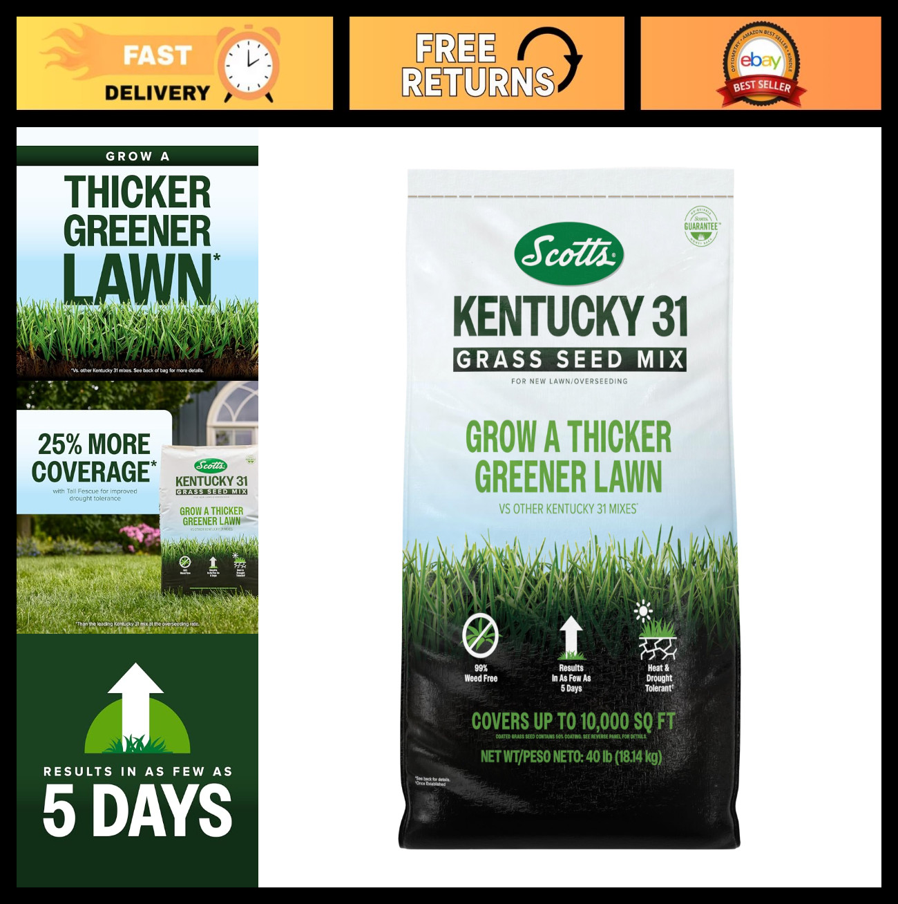 Premium Kentucky 31 Grass Seed Mix – Covers 10,000 sq ft, 40 lb for Lush Lawn