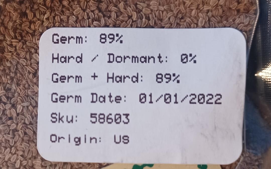 5000+Chinese Celery Seeds – Light Green Non-GMO Heirloom!USA! Free Shipping!