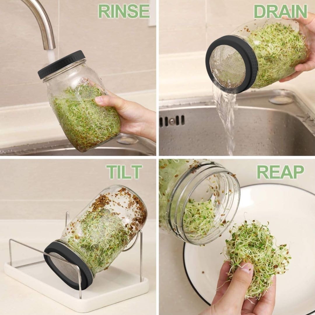 Grow Fresh Microgreens at Home – 32 oz Sprouting Jars with Drain Tray Included