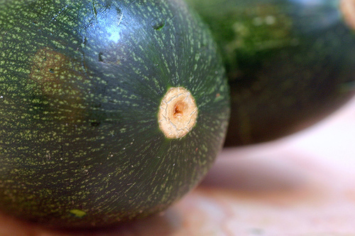 Black Beauty Zucchini 15 seeds *HEIRLOOM* Seeds of Life