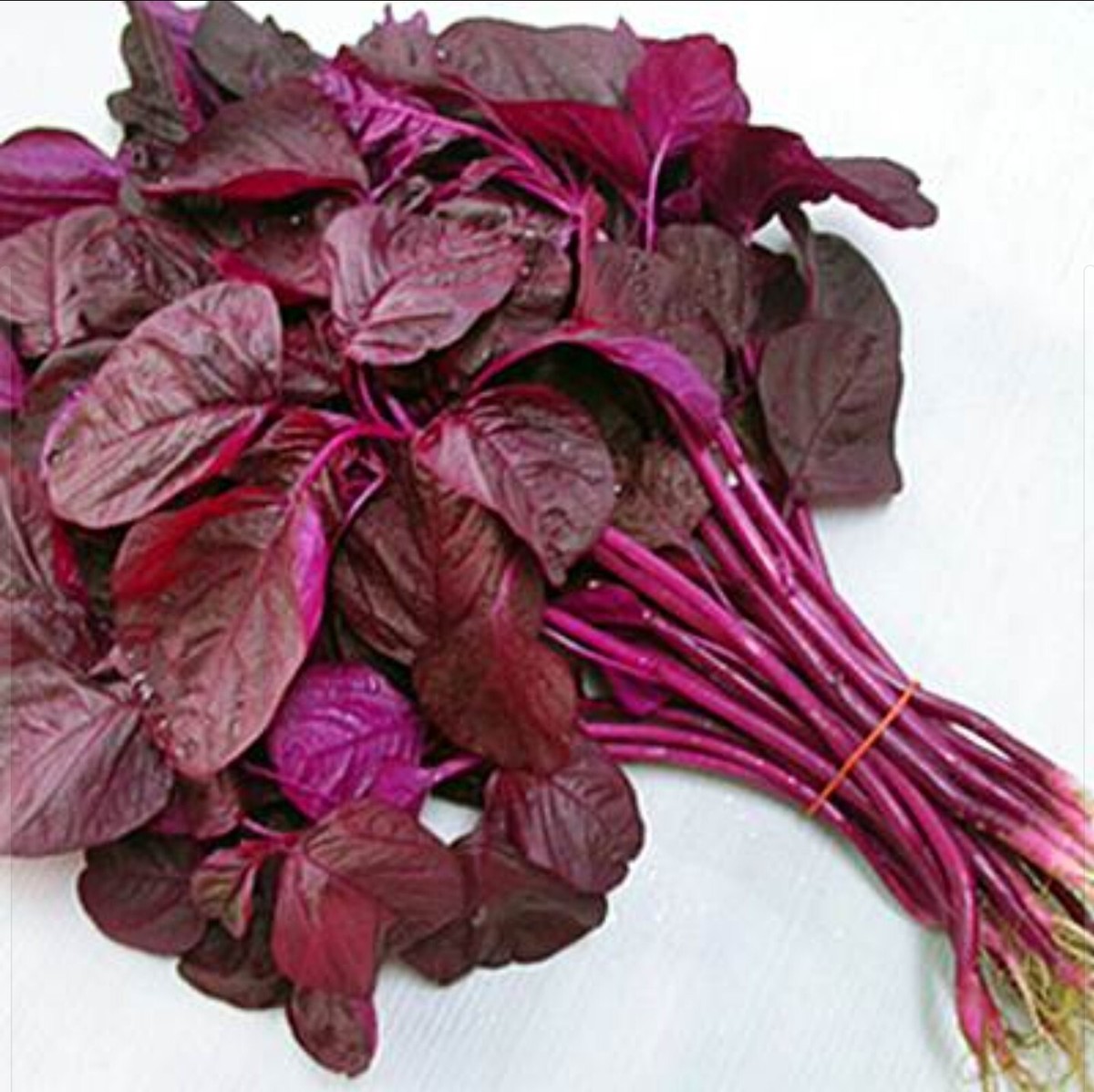 Red Amaranth (Lal Shak) 10,000 Seeds for Planting ( 10 Grams ) লাল শাক