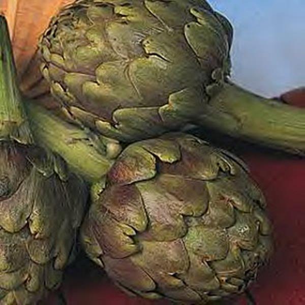 Artichoke Green Globe Seeds
