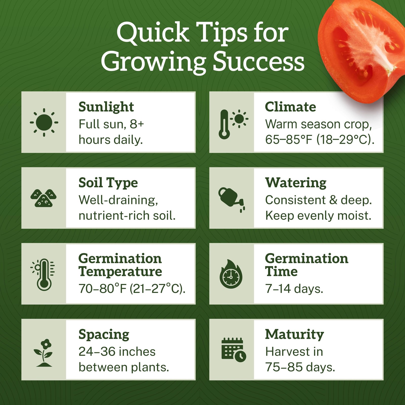 TKE Farms & Gardens – Beefsteak Tomato Seeds for Planting, 75+ Heirloom Red