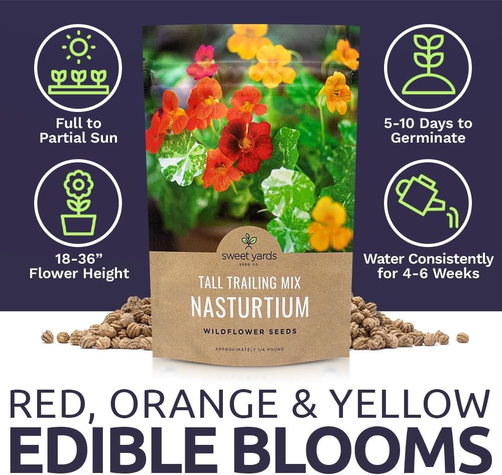 Nasturtium Seeds – Mixed Colors – Bulk Quarter Pound Bag – Over 900 Open