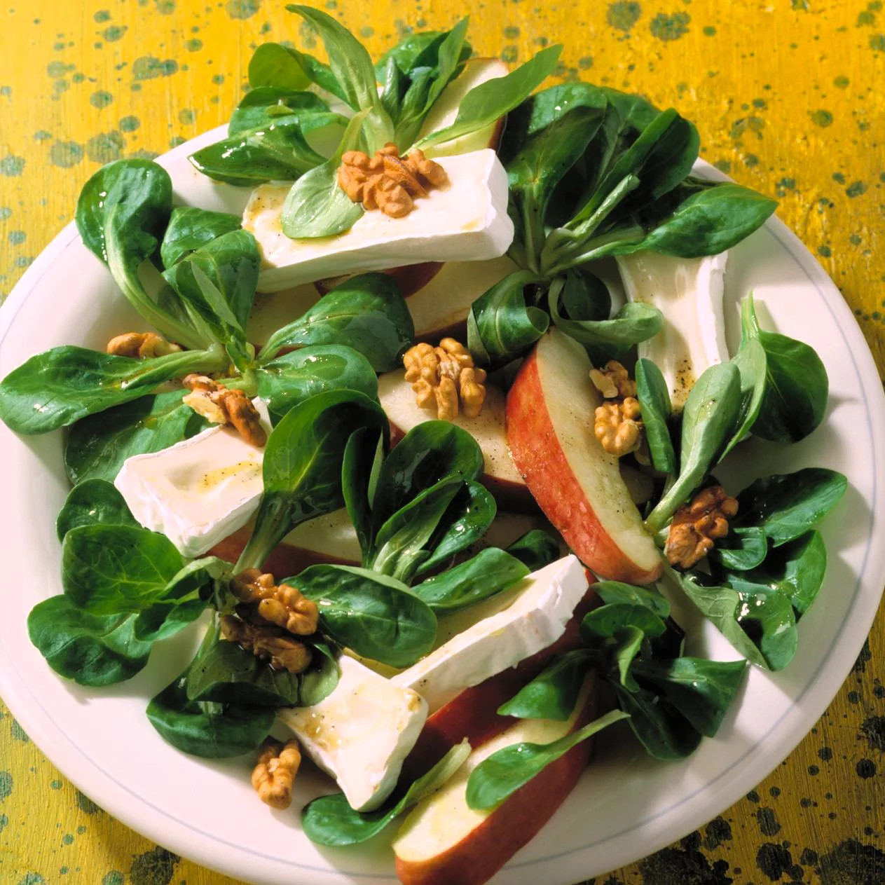 Dutch Corn Salad Seeds (Mache or Lamb’s Lettuce) | Spinach Fall Garden Seed 2024