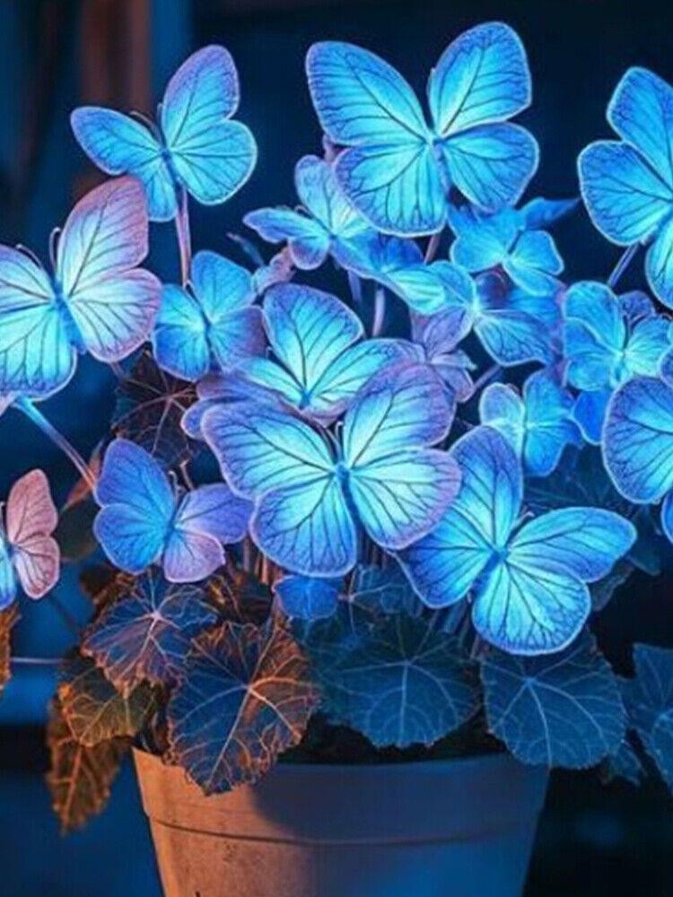 10 Beautiful Blue Butterfly Coleus Seeds – Rare Heirlooms