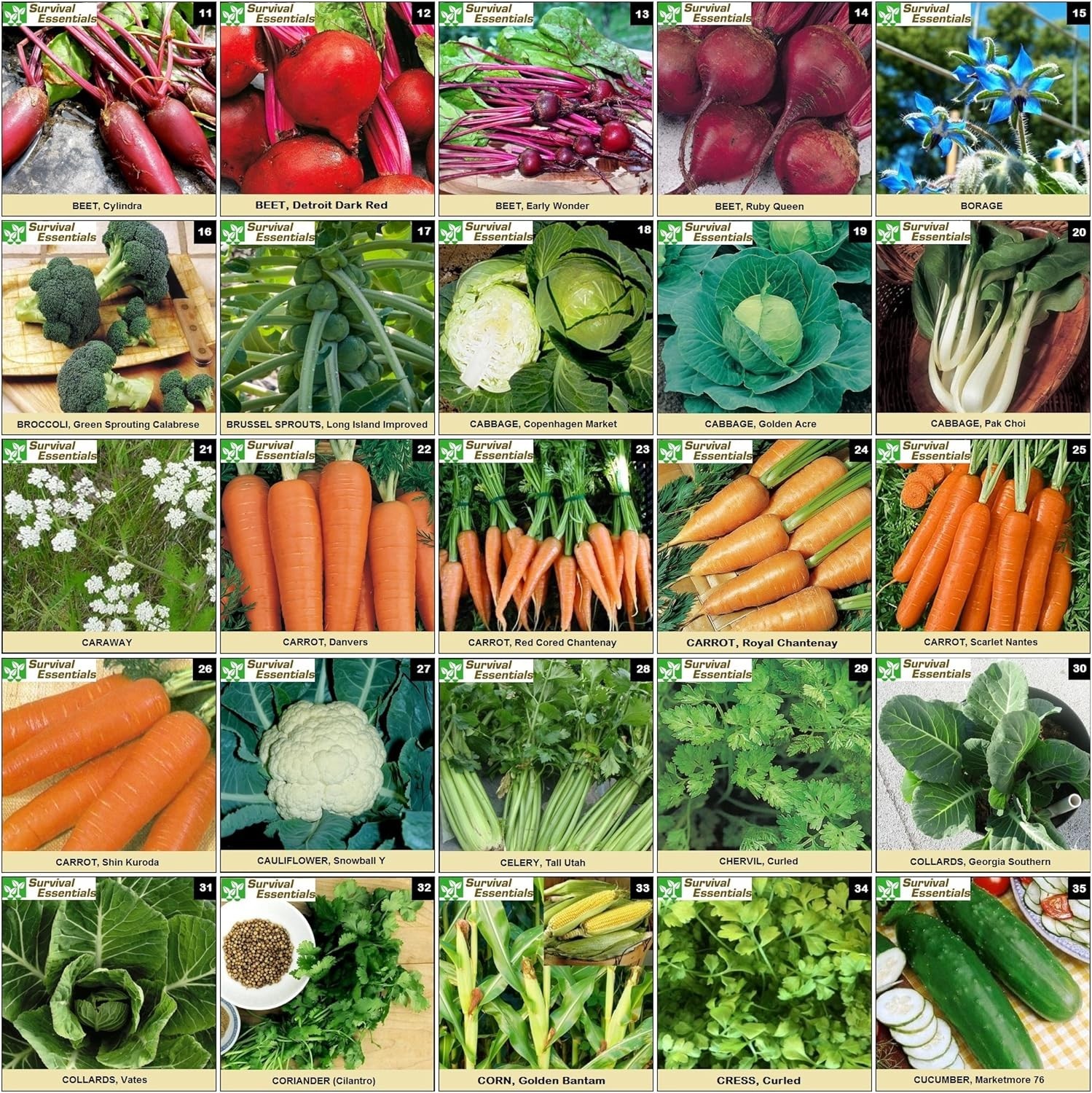 Complete Heirloom Seed Collection – 135 Varieties for All USDA Hardiness Zones