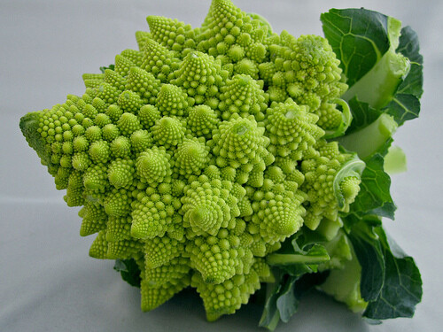 Romanesco Italia Broccoli 100 – 1000 Seeds Fractal Natalino Brocoflower RARE