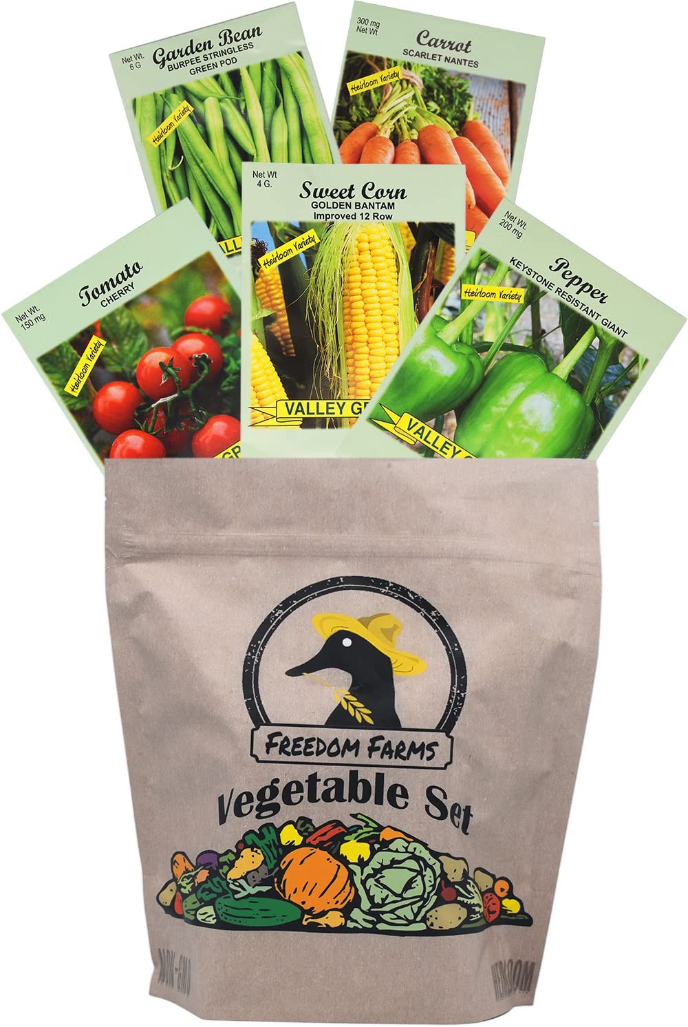 Set of 43 Assorted Vegetable & Herb Seed Packets – Over 10,000 Seeds! – Green