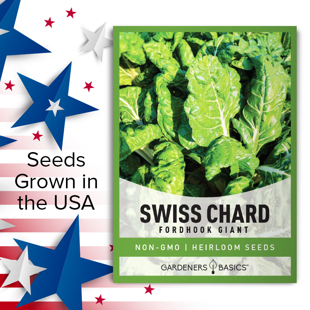 Fordhook Giant Swiss Chard Seeds