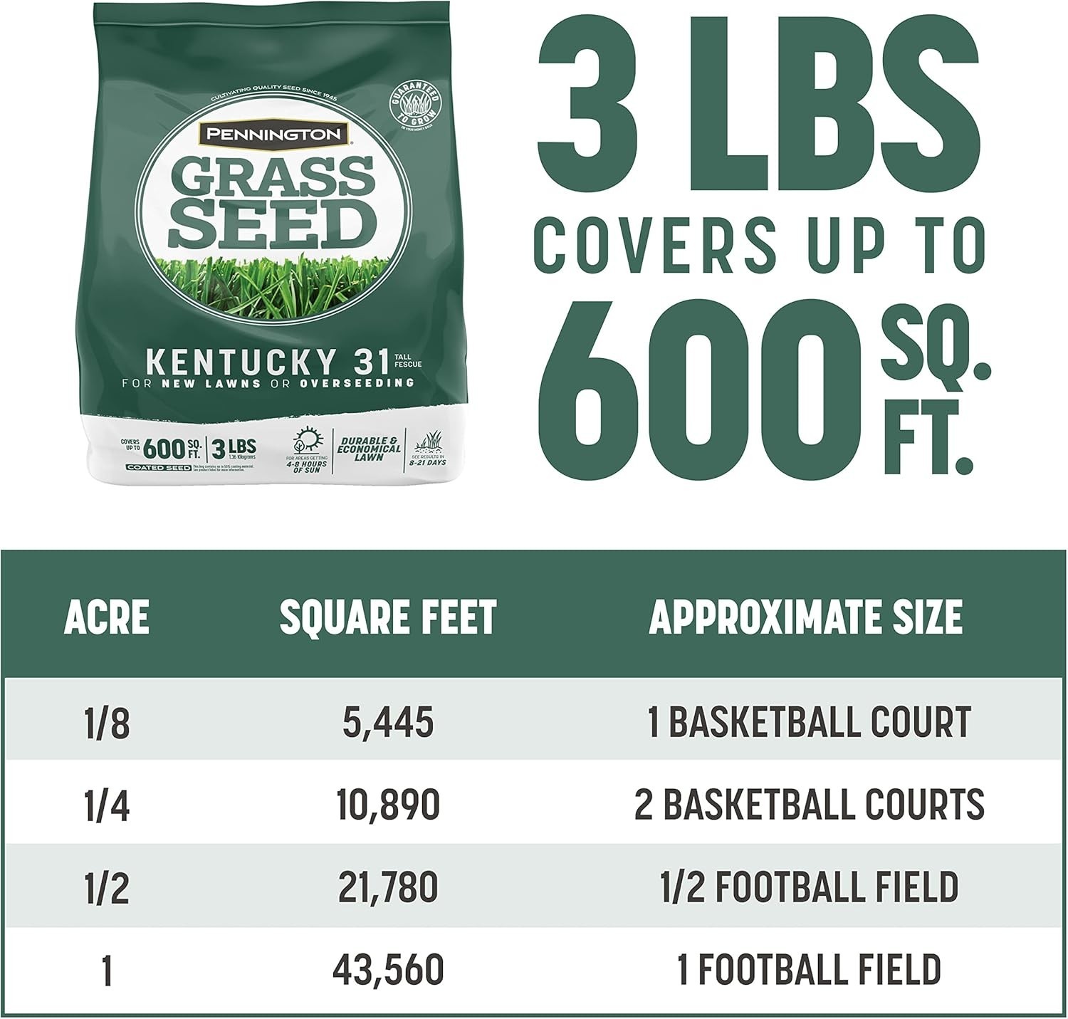 3 lb Kentucky 31 Tall Fescue Grass Seed – Fast Germination, Drought-Resistant