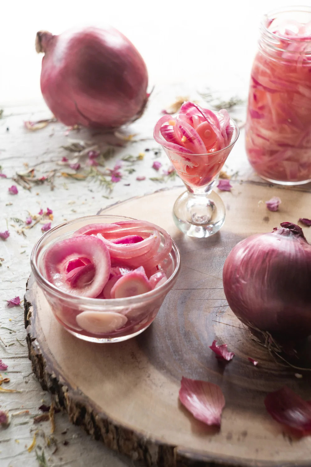 Red Burgundy Onion Seeds | Allium Short Day Purple Scallion Vegetable Seed 2024