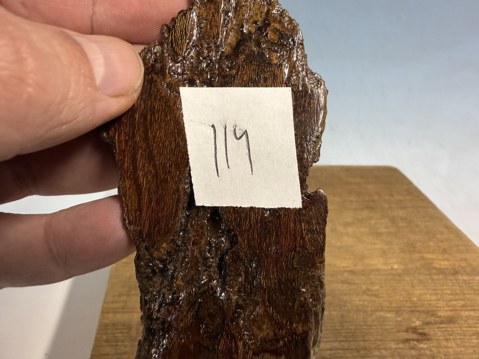 Shohin Display Bonsai Tree Show Stand Japanese Made Slab Jitta #114