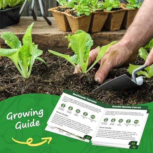 10 Vegetable Seeds Pack – Heirloom – Basil, Snap Pea, Broccoli, Bean, Jalapeo Pe