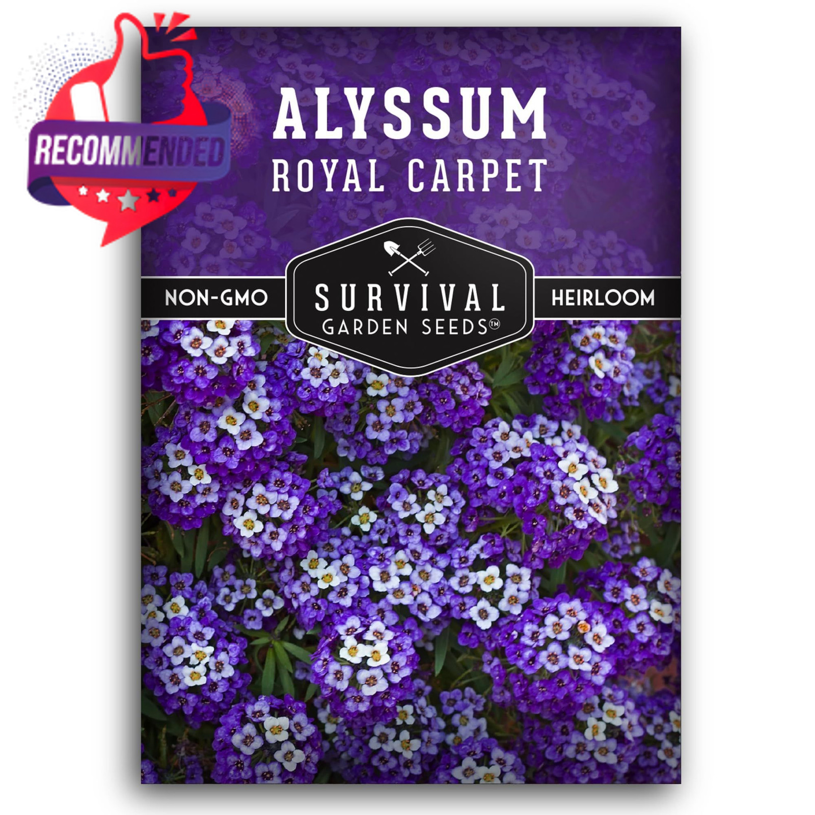 Alyssum Seeds for Planting – Sweet Royal Carpet Purple Variety – purple