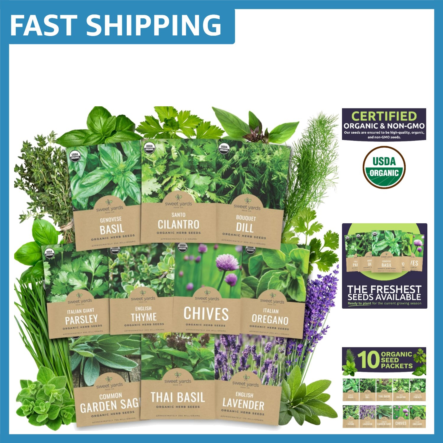 Culinary Herb Seeds Variety Pack – 10 Organic Herbs with High Germination Rates