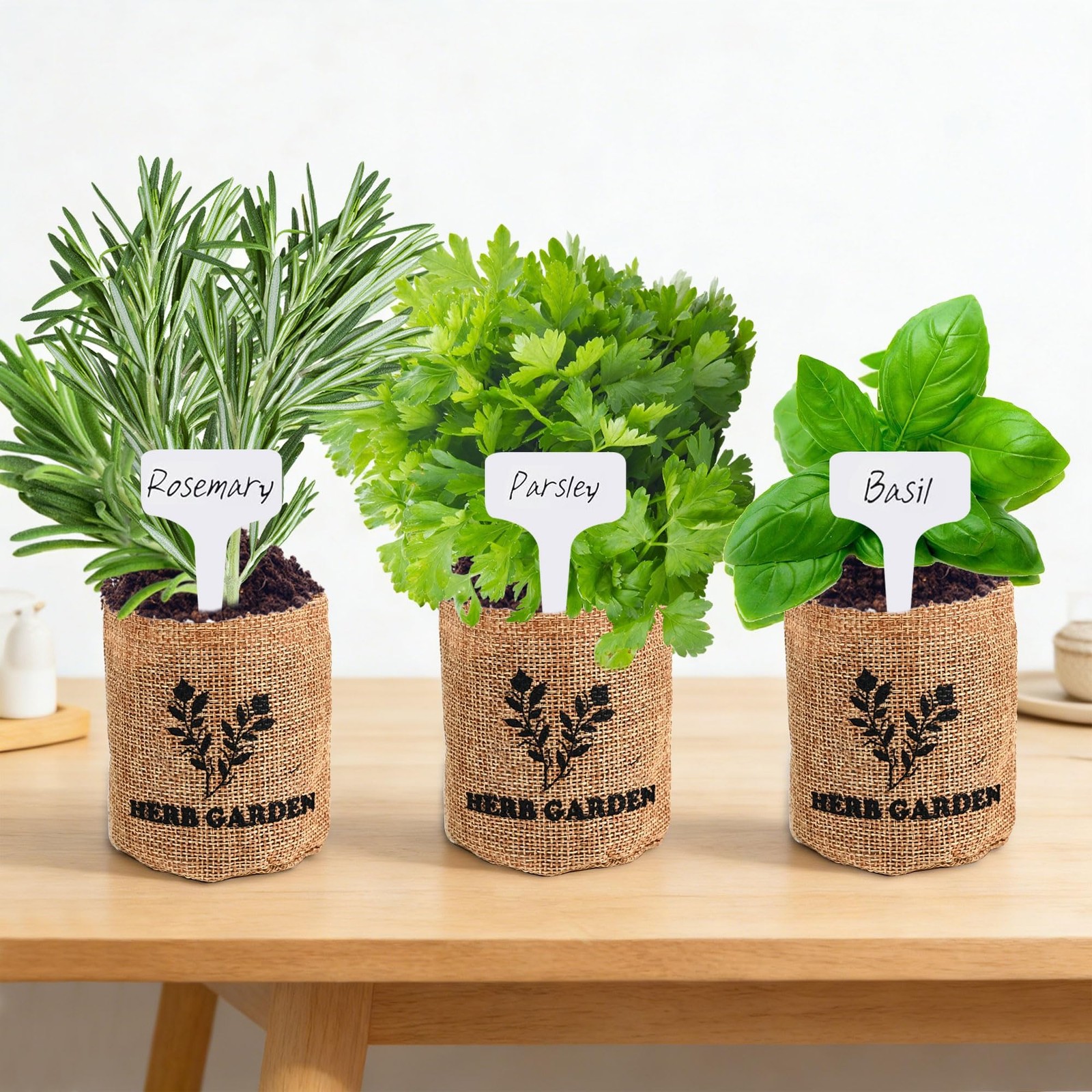 5 Herb Indoor Starter Kit, Complete Planting Set for Kitchen Herb Garden DIY …