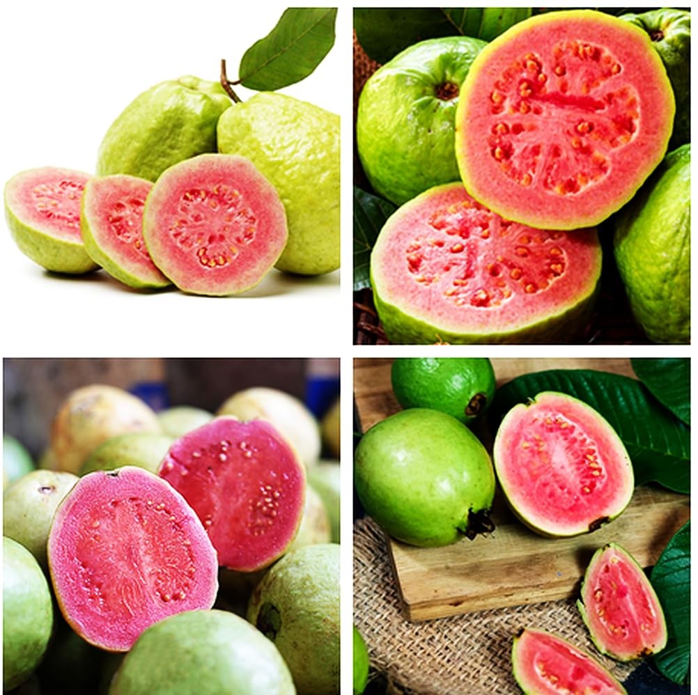 50pcs Tropical Strawberry Guava Pink Seeds – Exotic Flavor Medley green