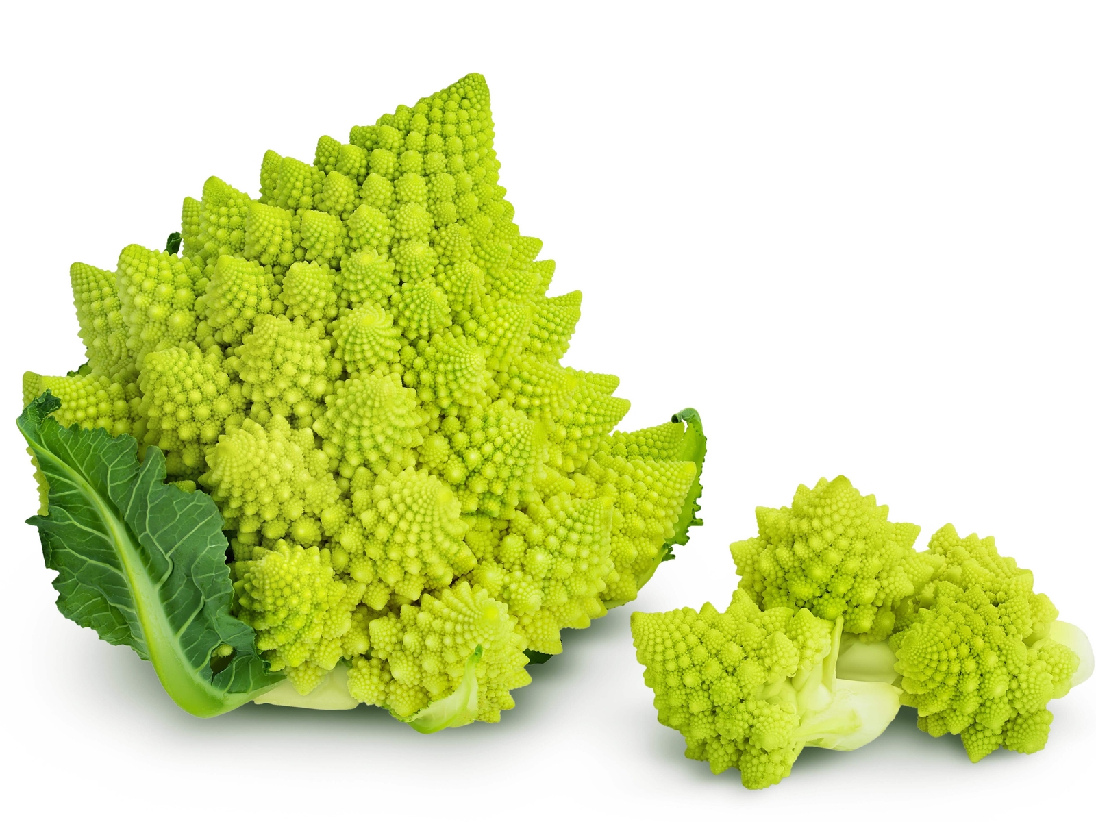 500 ROMANESCO BROCCOLI Broccoflower Cauliflower Brassica Vegetable Seeds *FlatSH