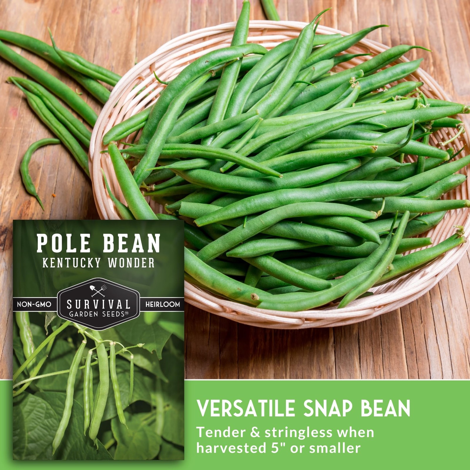 Kentucky Wonder Pole Bean Seeds for Planting – Heirloom Climbing Green