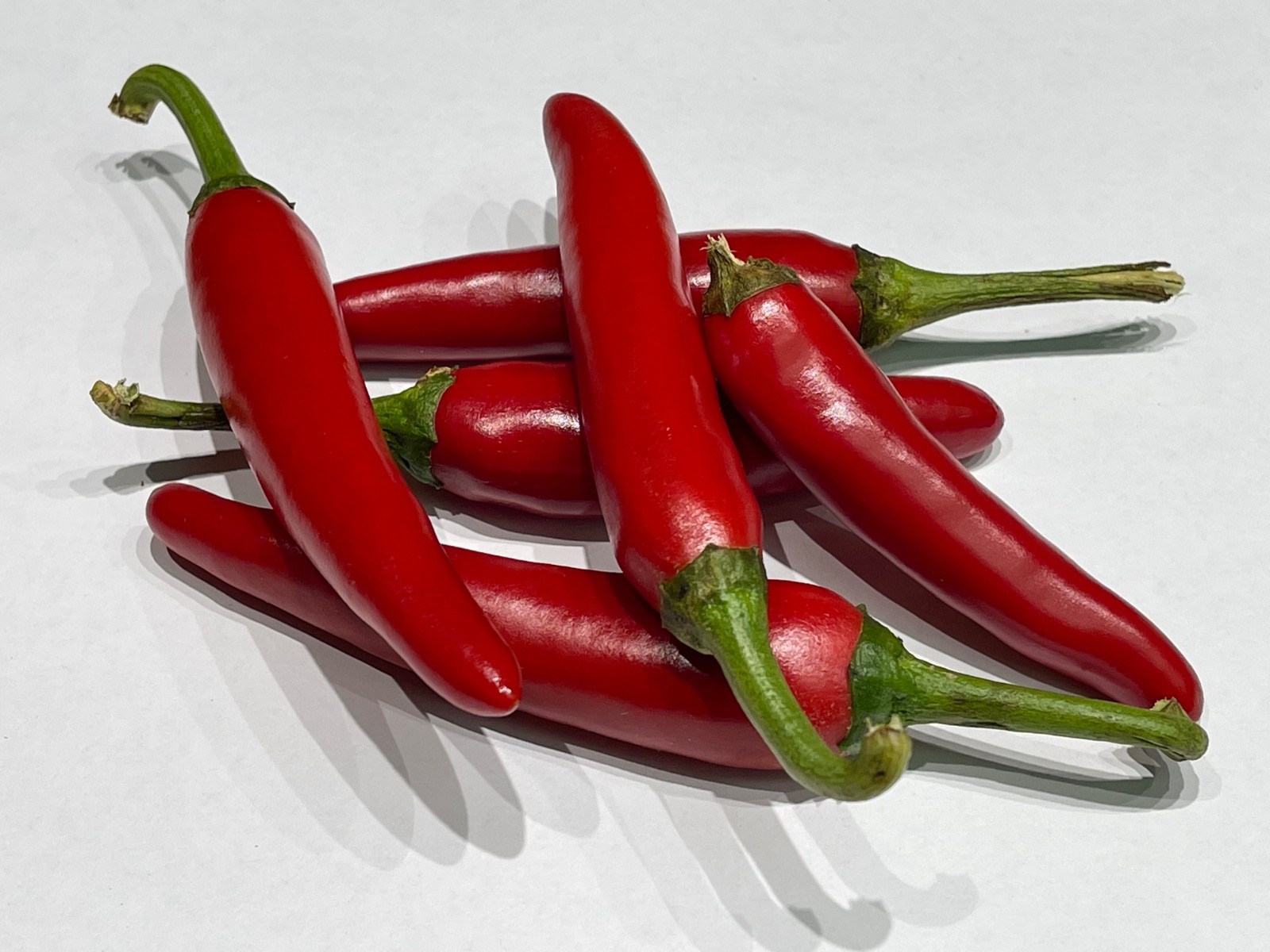 Gochugaru Pepper Seeds – 2025 Harvest – 25+ Seeds – Non-GMO