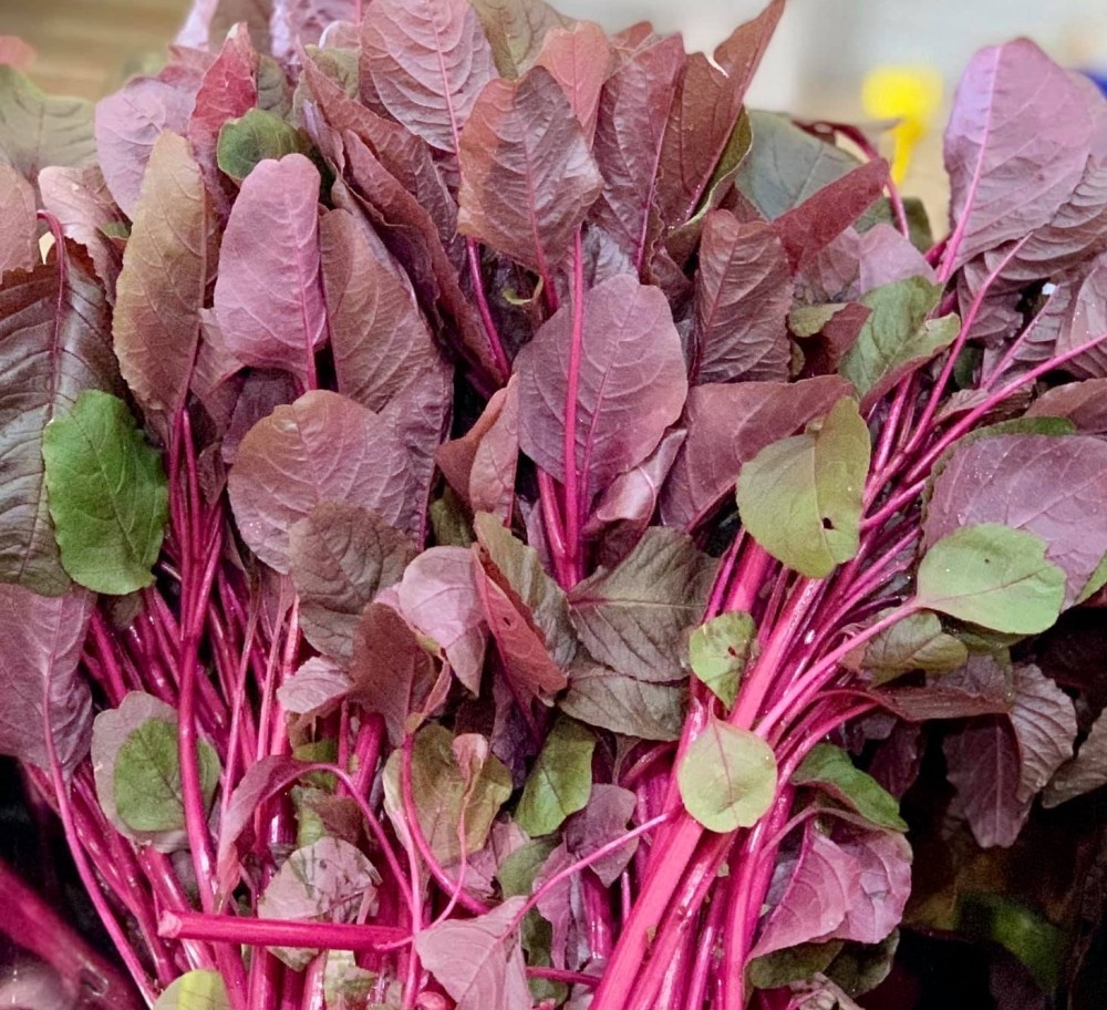 Red Amaranth (Lal Shak) 10,000 Seeds for Planting ( 10 Grams ) লাল শাক