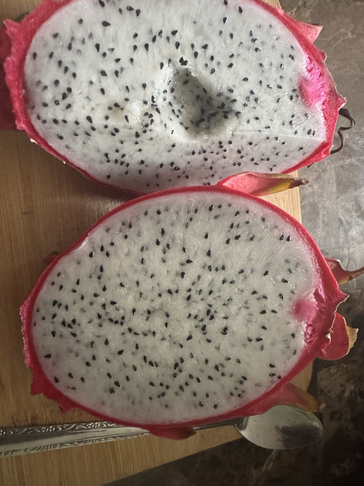 AZ 1 Dragon Fruit Cuttings 8-12 Inches Check Description ￼