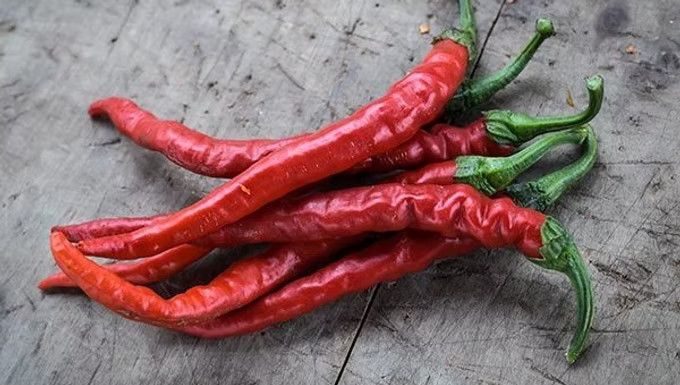 🌱 NEW! Heirloom Cayenne Red Thin Hot Chili Pepper 25 Seeds