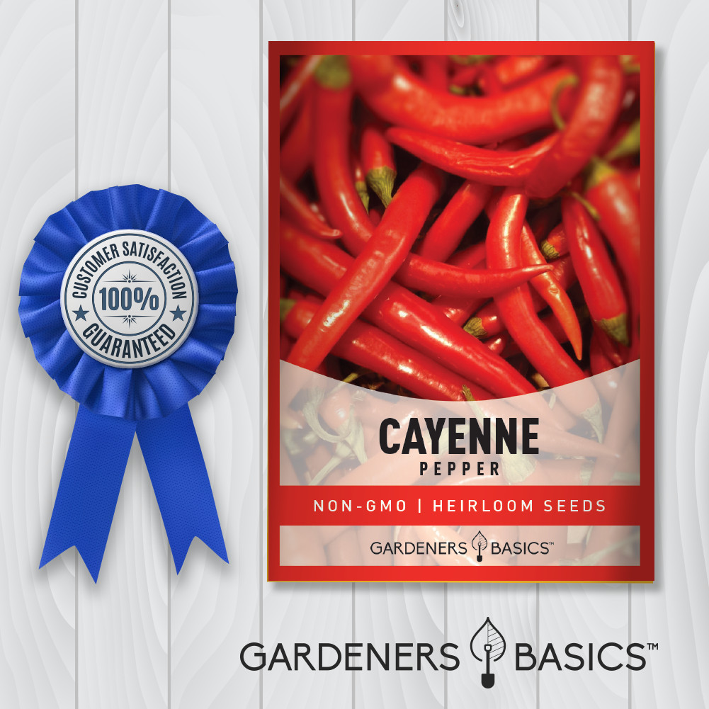 Cayenne Pepper Seeds