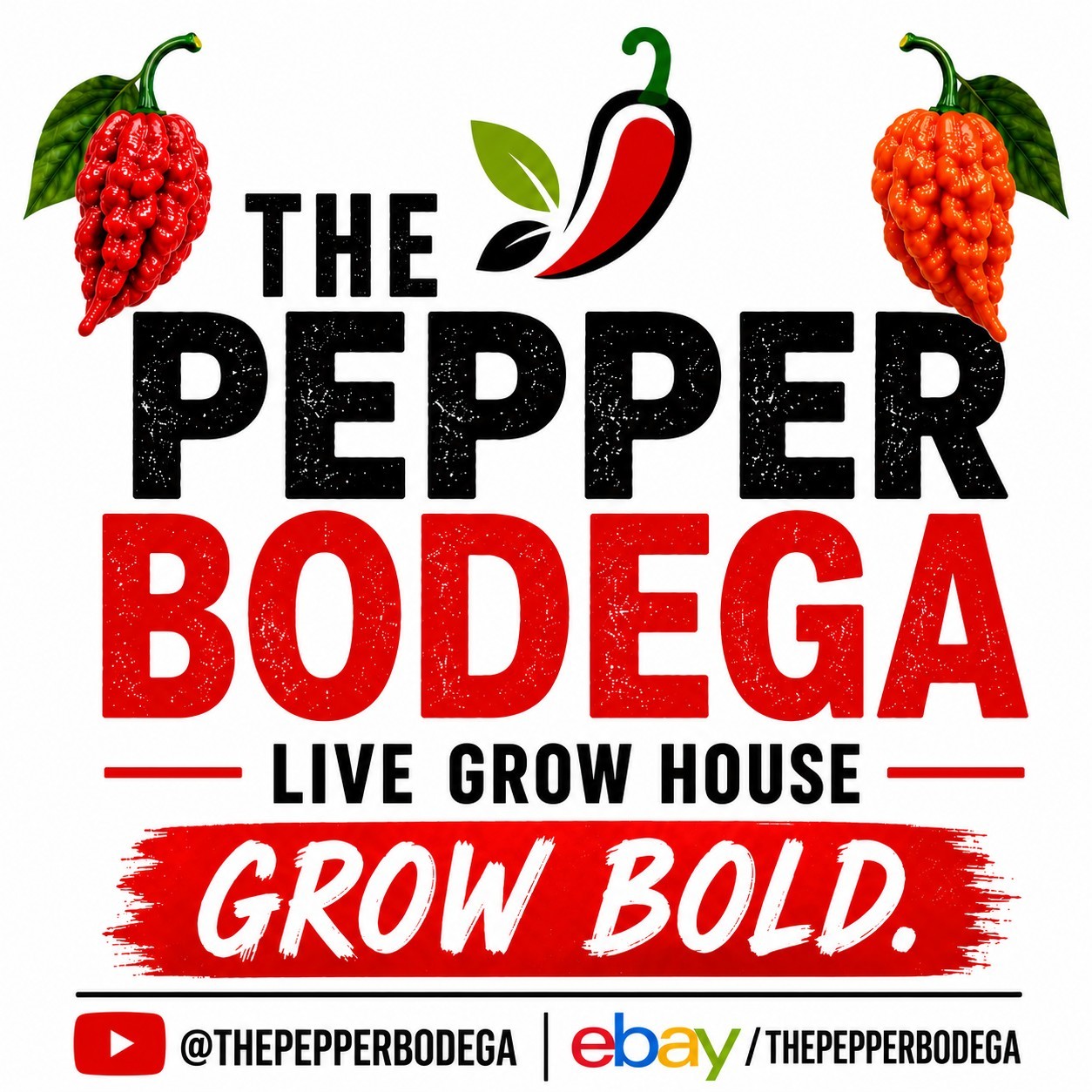 🌶️ Peach Carolina Reaper Pepper Seeds (10) | OPEN POLLINATED | Superhot