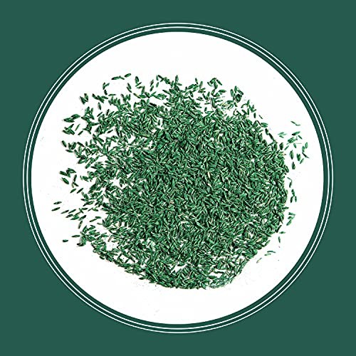 Pennington Smart Seed Sun And Shade Tall Fescue Grass Seed Mix For Sou