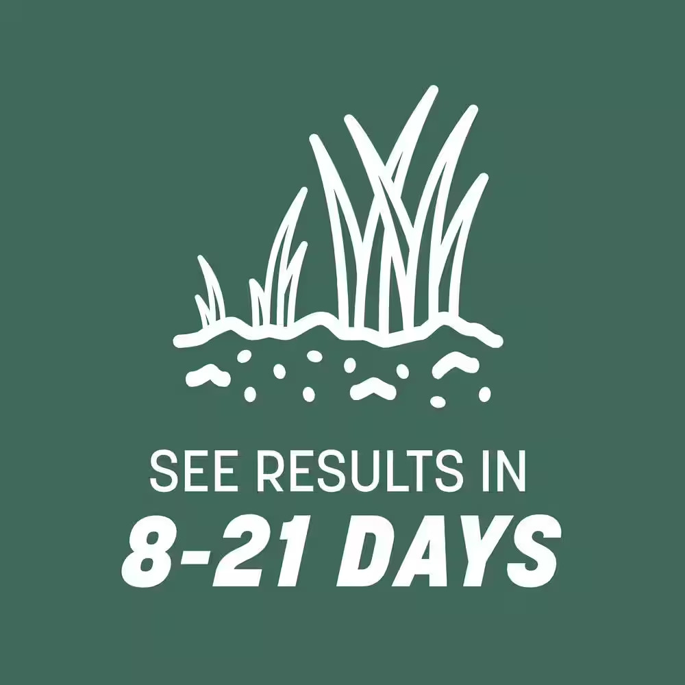 Kentucky 31 Tall Fescue 7 Lb. 1,400 Sq. Ft. Grass Seed