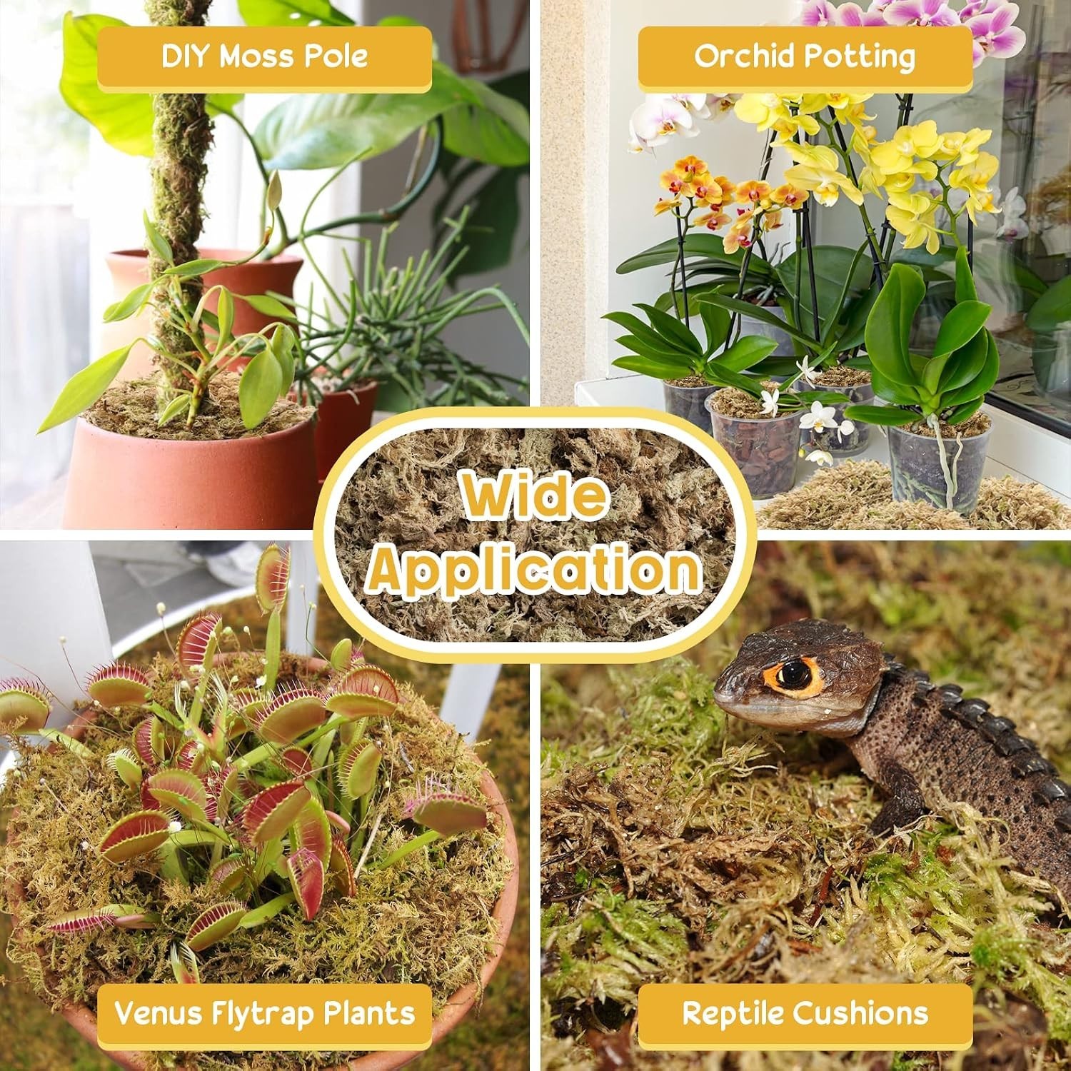 Long Fiber Orchid Moss – 3.3LBS Dried Succulent Moss