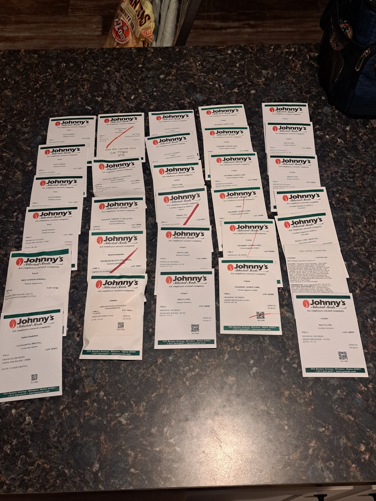 LOT OF 30 Garden Packets Lisianthus Stock Celosia Atiplex AND More