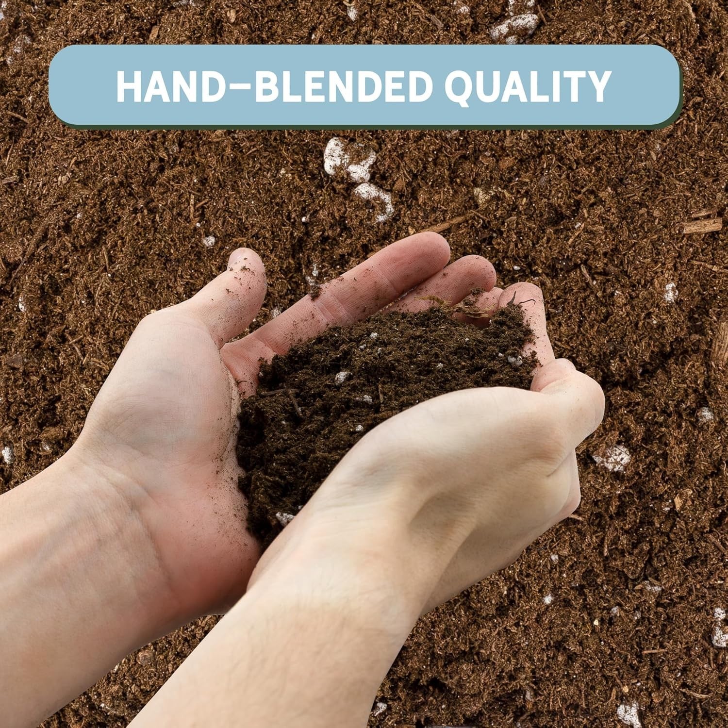 4 Quarts Hand Blended Soilless Plant Propagation Mix for Houseplants Success
