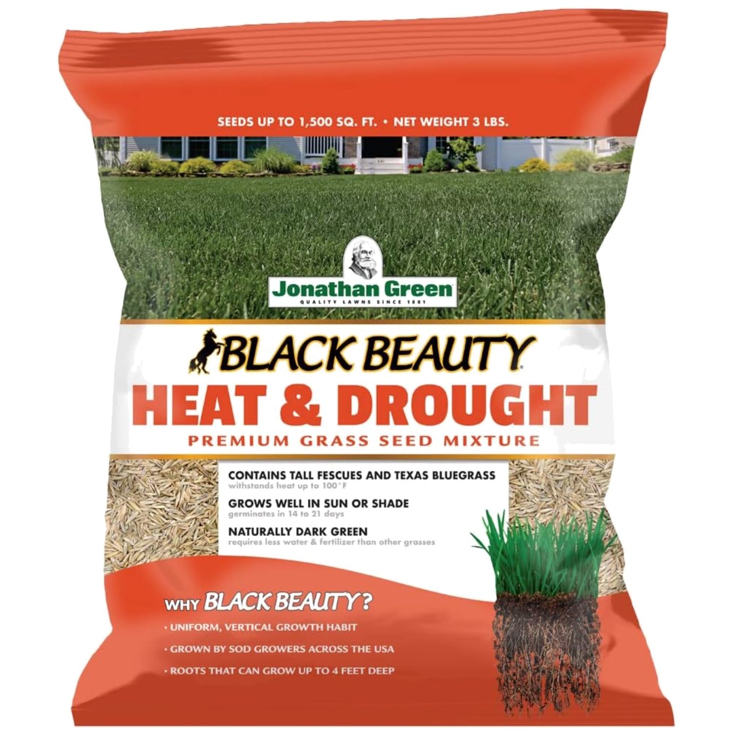 Drought Resistant Black Beauty Grass Seed Mix – 3 lb Coverage, Easy Care