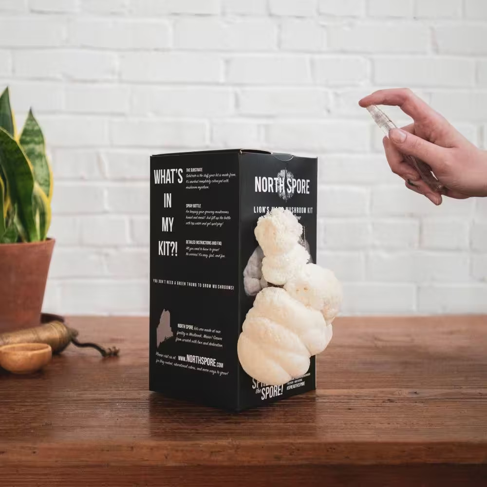 Organic Lion’S Mane Mushroom Spray and Grow