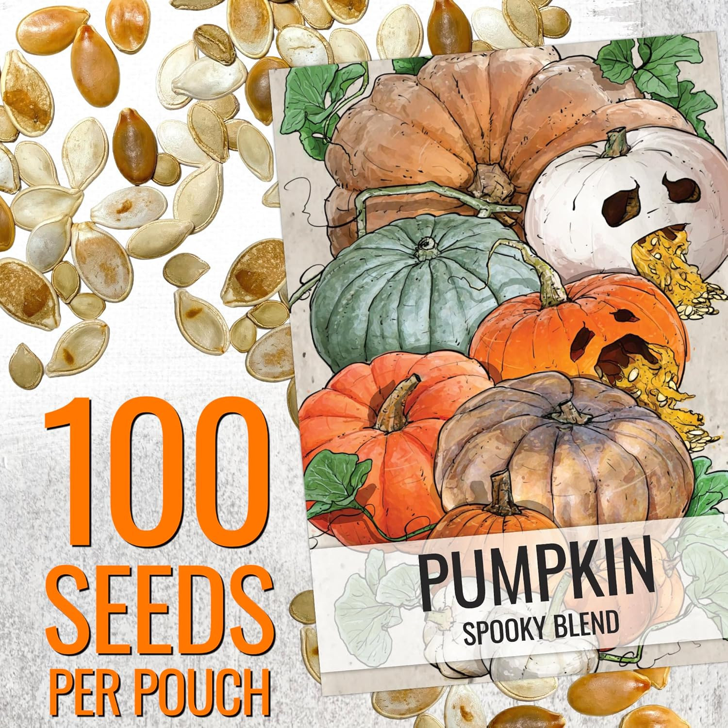 Seed Needs Pumpkin Seeds to Plant Specialty Spooky Blend | 10+ Premium Varieties