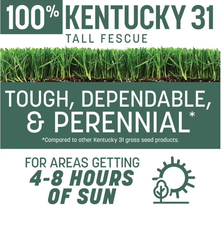 Pennington Kentucky 31 Tall Fescue Grass Seed Sun to Partial Shade 7 lb Bag New