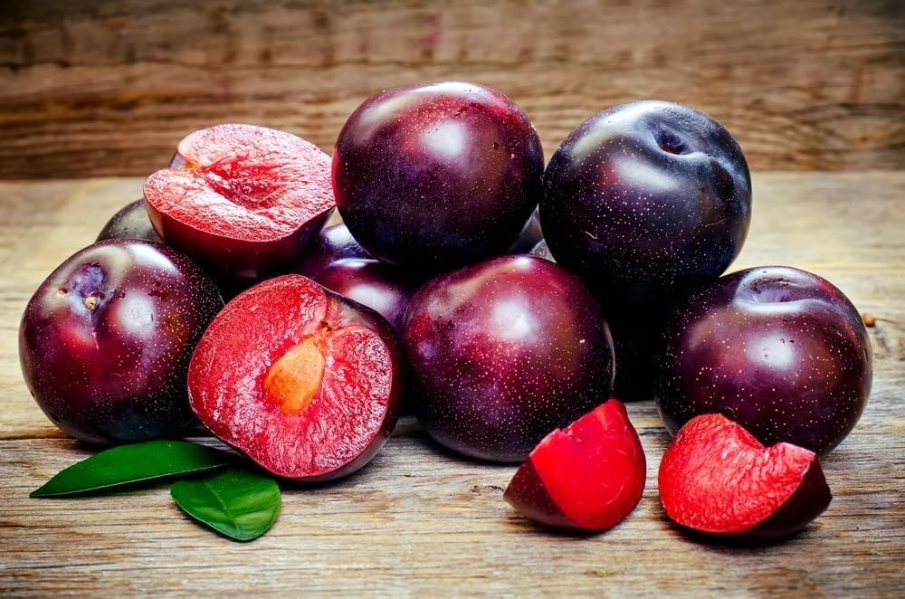 Prunus Americana Seeds – 5 Pack of Red Plum Tree Seeds for Heirloom Gardens