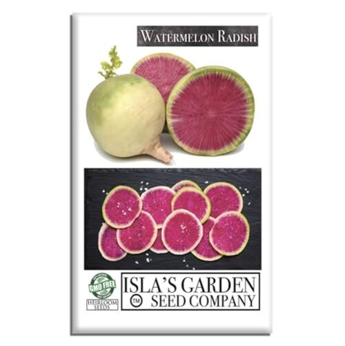 Watermelon Radish Seeds (Raphanus sativus acanthiformis) – 120+ Non-GMO