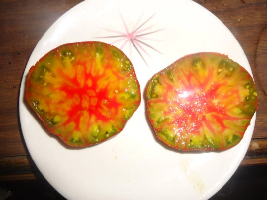 Ananis Noire tomato 10 seeds (Black pineapple) HEIRLOOM