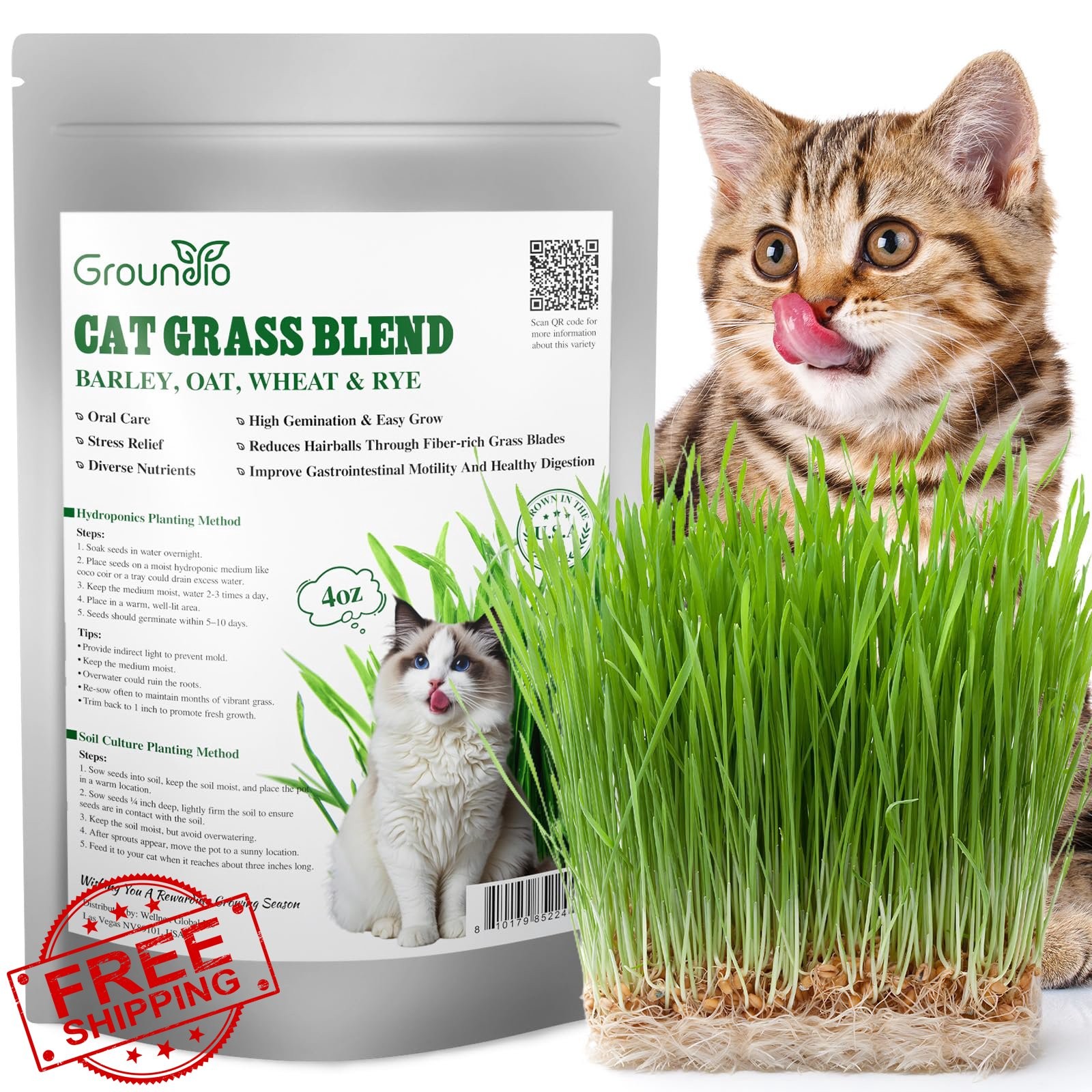 Groundio Cat Grass Seeds 4 OZ Barley Oats Wheat Rye