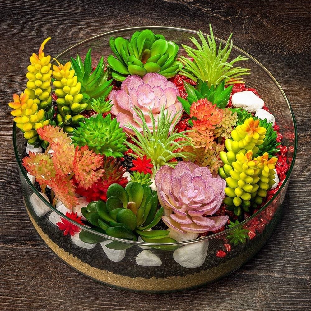 100pcs Mix Rare Succulent Seeds for Planting, DIY Bonsai Ornamental Plant