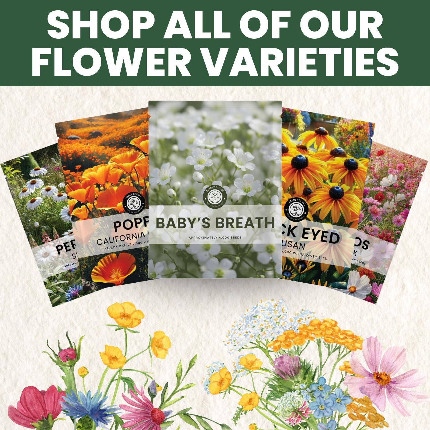 Buy 90,000 Baby’s Breath Seeds for Planting – 4 Ounce Pouch, 2026 Season