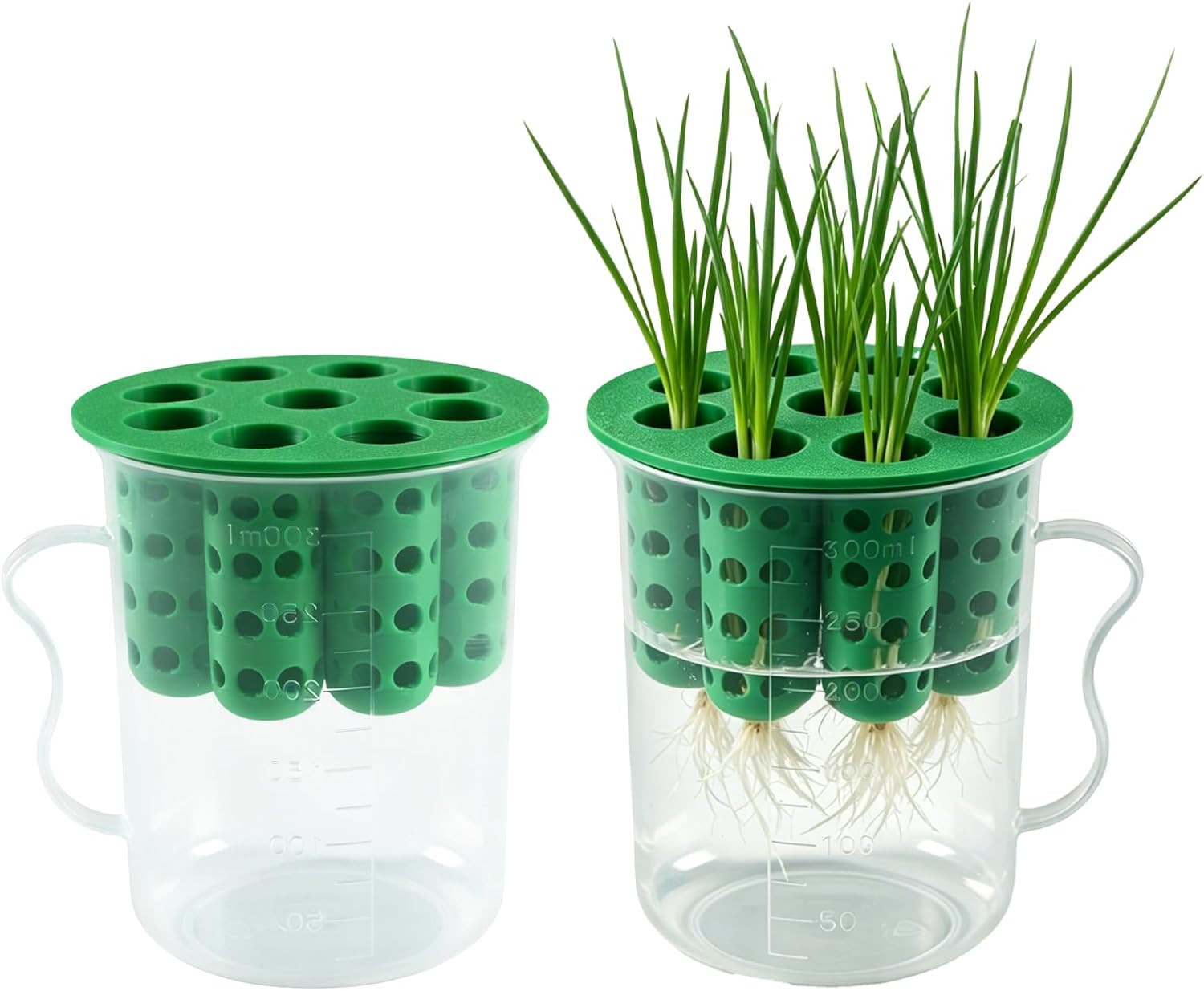 2Set Green Onion Planter Scallion Regrower Seed Sprouting Kit | 2 Green Onion Gr